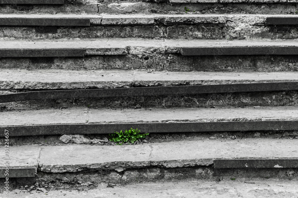 On the old destroyed steps the grass grows On the old destroyed steps the grass grows