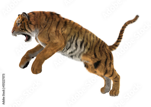 Fototapeta Naklejka Na Ścianę i Meble -  3D Rendering Big Cat Tiger on White