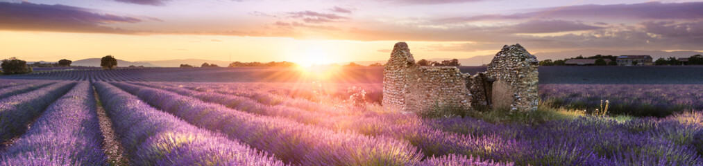 Gartenposter Lavendelblüten PANORAMALAVENDEL IM SÜDEN VON FRANKREICH  © beatrice prève