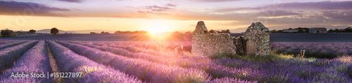 PANORAMIC LAVENDER IN SOUTH OF FRANCE