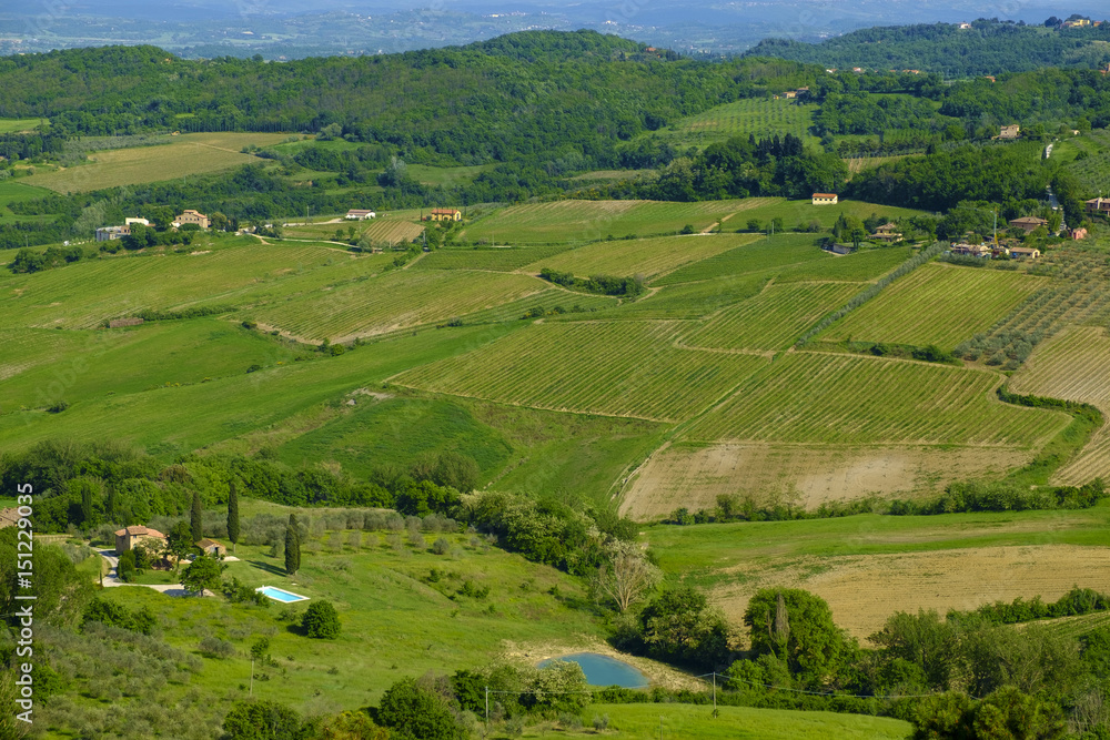 Scenery near to Montepulciano, Tuscany. The area is part of the Val d'Orcia Italy Europe