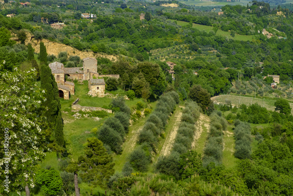 Scenery near to Montepulciano, Tuscany. The area is part of the Val d'Orcia Italy Europe
