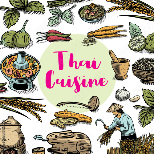 Hand drawn Thai food and herbs