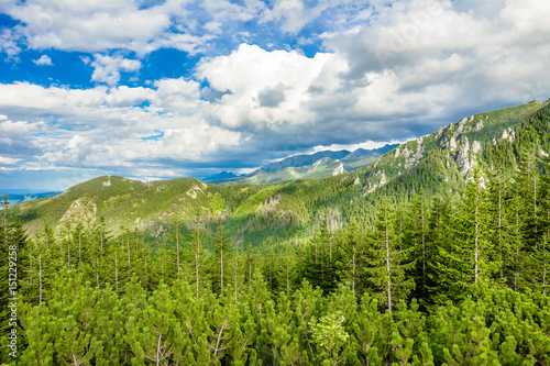 View of mountain forest, landscape in the summer with blue sky. Green woods in Tatras Mountains, Poland