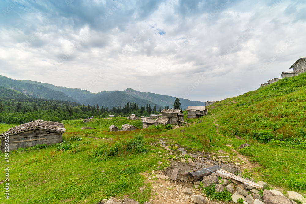 Summer Mountain Plateau Highland with Gorgit, Artvin, Turkey