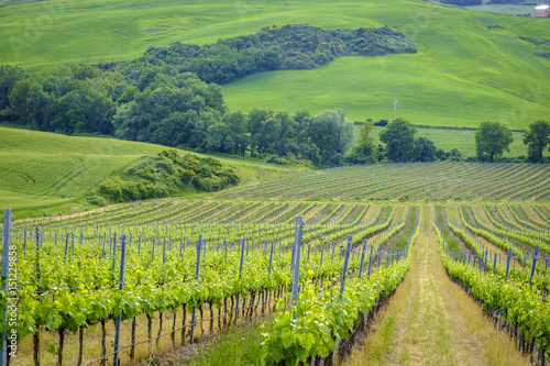 Scenery near to Montepulciano, Tuscany. The area is part of the Val d'Orcia Italy Europe