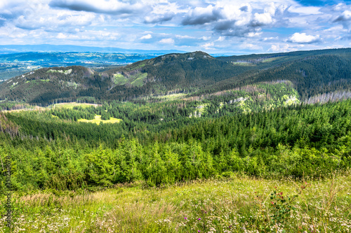 Fototapeta Naklejka Na Ścianę i Meble -  Green mountains in spring, landscape with forest