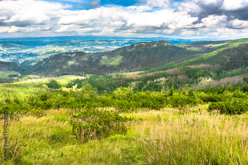 Panorama of city in mountains, spring landscape with blue sky and pine forest