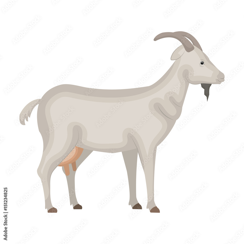 Fototapeta premium goat animal farm icon vector illustration design