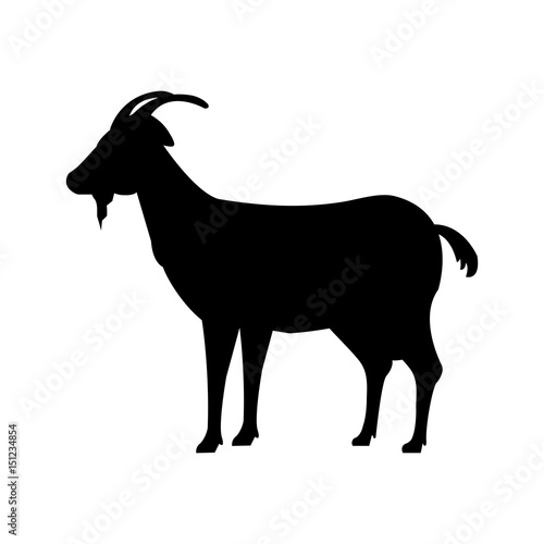 goat animal farm icon vector illustration design