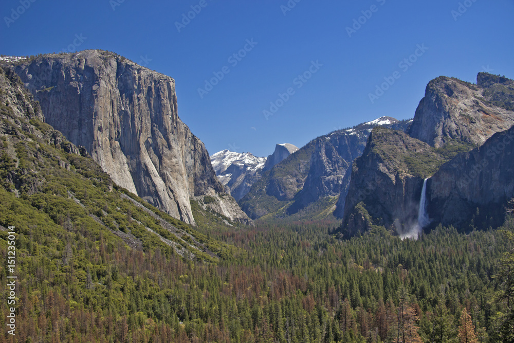 Obraz premium USA - Yosemite National Park - The beautiful view over Yosemite valley along with Bridalveil waterfall from Tunnel view observation point in nice sunny day