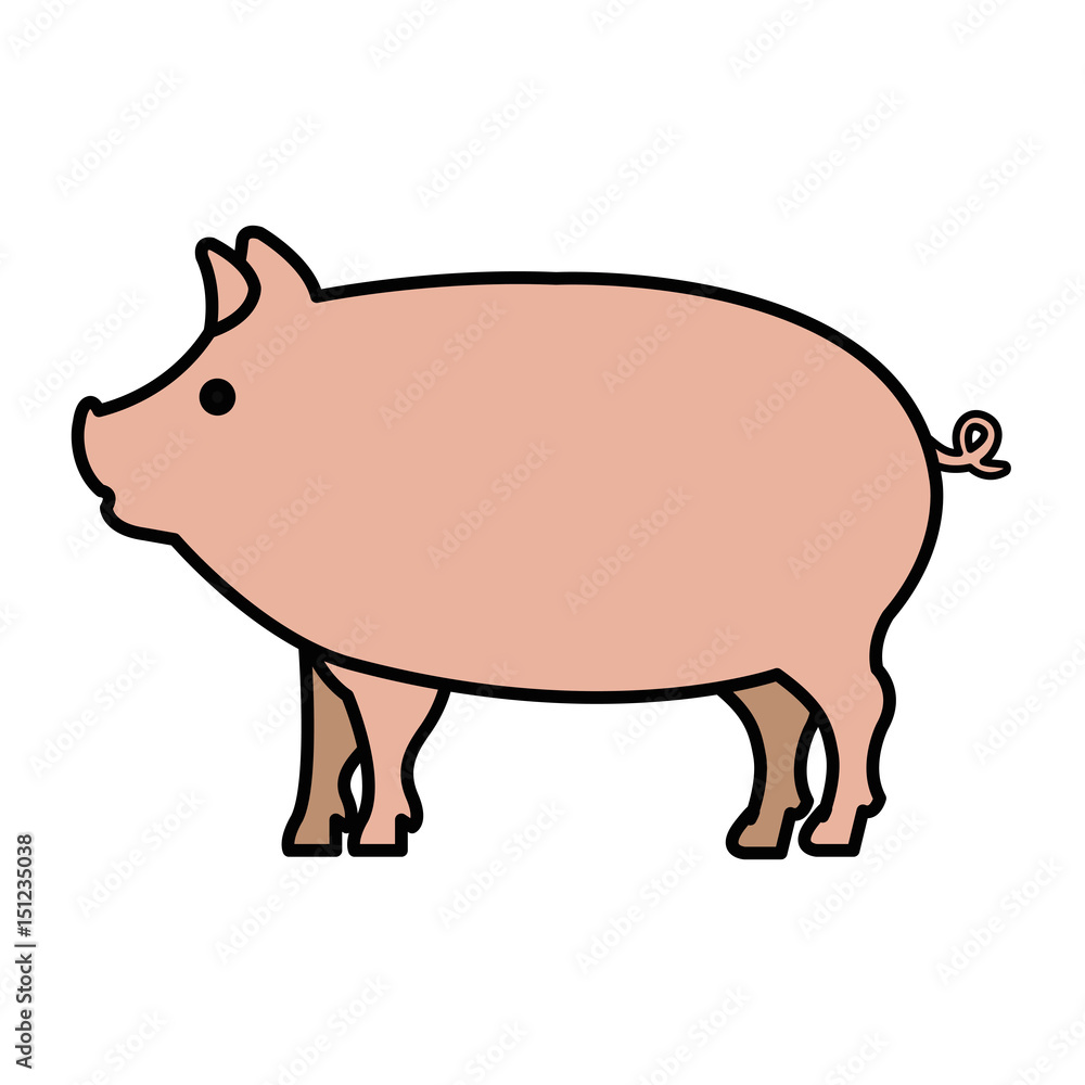 pig animal farm isolated icon vector illustration design pig animal farm isolated icon vector illustration design