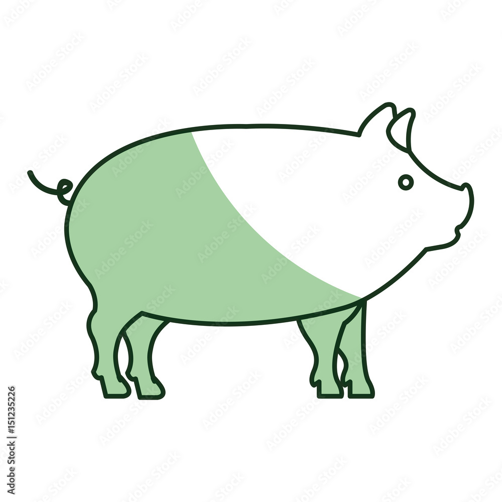 pig animal farm isolated icon vector illustration design pig animal farm isolated icon vector illustration design