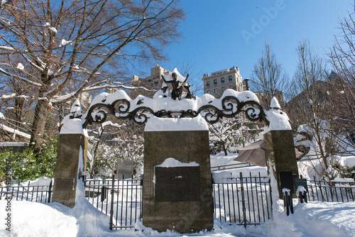 The day after the biggest snow storm in New York