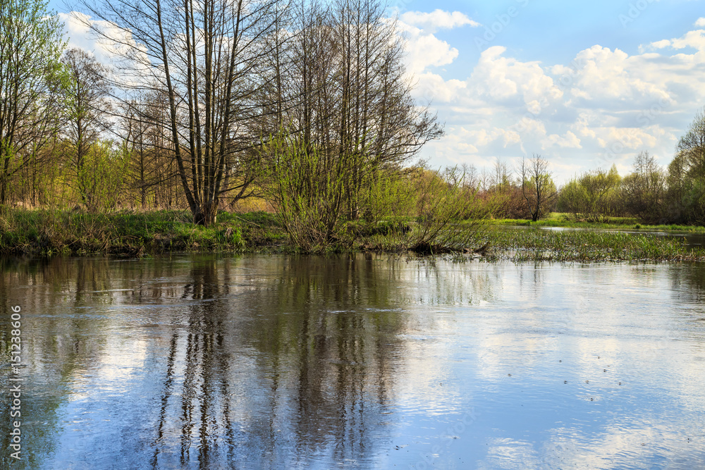 Obraz premium water landscape