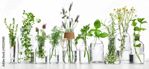 Obraz Bottle of essential oil with herbs