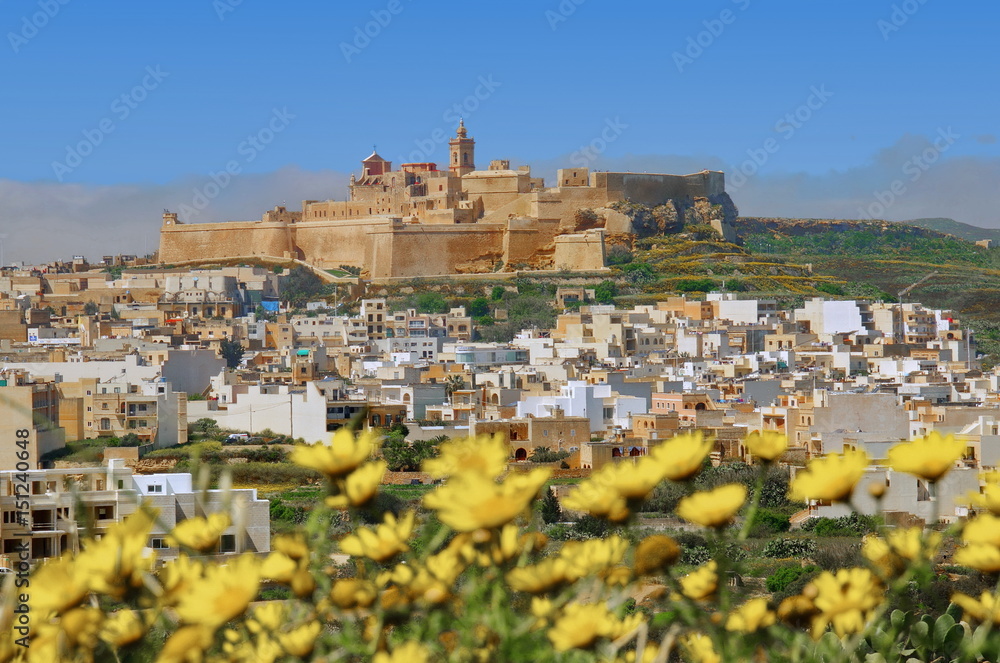 Obraz premium Die Stadt Victoria auf der Insel Gozo / Malta