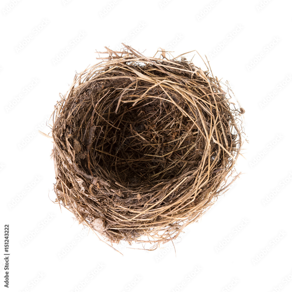 Bird nest isolated on white, top view. Empty nest of common blackbird Bird nest isolated on white, top view. Empty nest of common blackbird