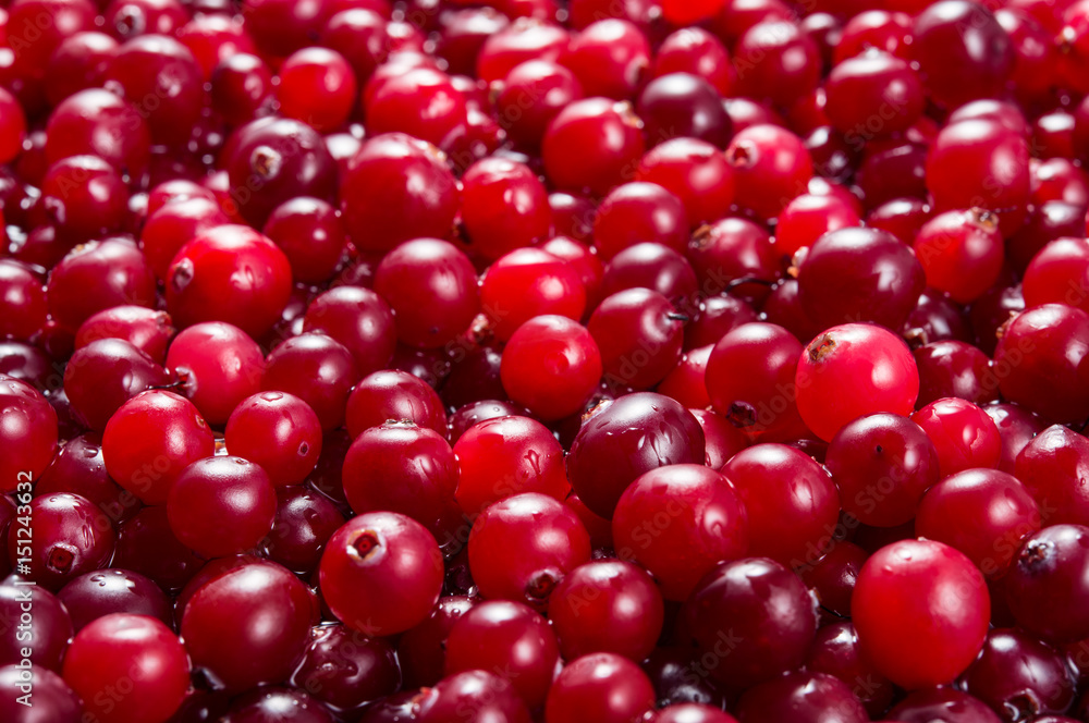 Cranberry. Berries macro. Food background.