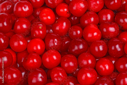 Wallpaper Mural Ripe, red sour cherries fill the frame Torontodigital.ca