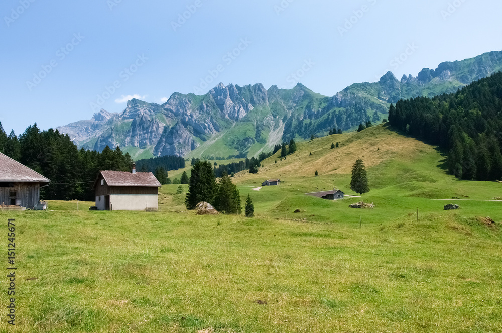 Swiss landscape, mountains and green meadows