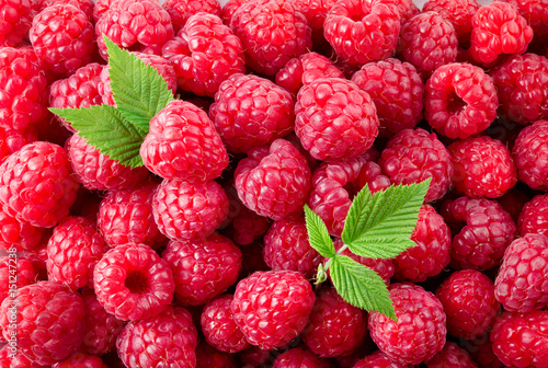Raspberry. Fresh organic berries with leaves macro. Fruit background.