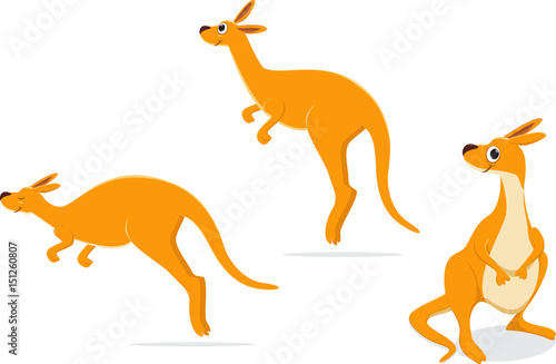 cartoon kangaroo collection set. vector illustration