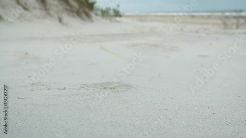 Woman's foot kicks up sand run to beach Masonboro Island photo