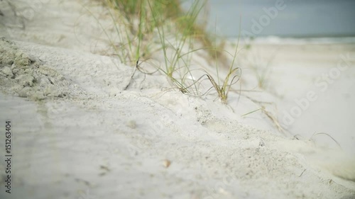 Woman's feet stepping down dune kicks up sand Masonboro Island photo