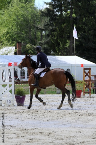 concours hippique,saut d'obstacles