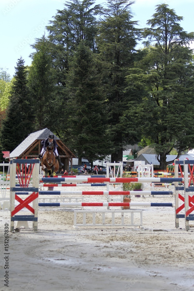 concours hippique,saut d'obstacles concours hippique,saut d'obstacles