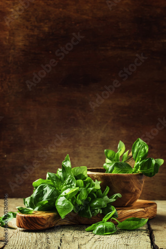 Fototapeta Naklejka Na Ścianę i Meble -  Green basil on a cutting board, rustic style, selective focus