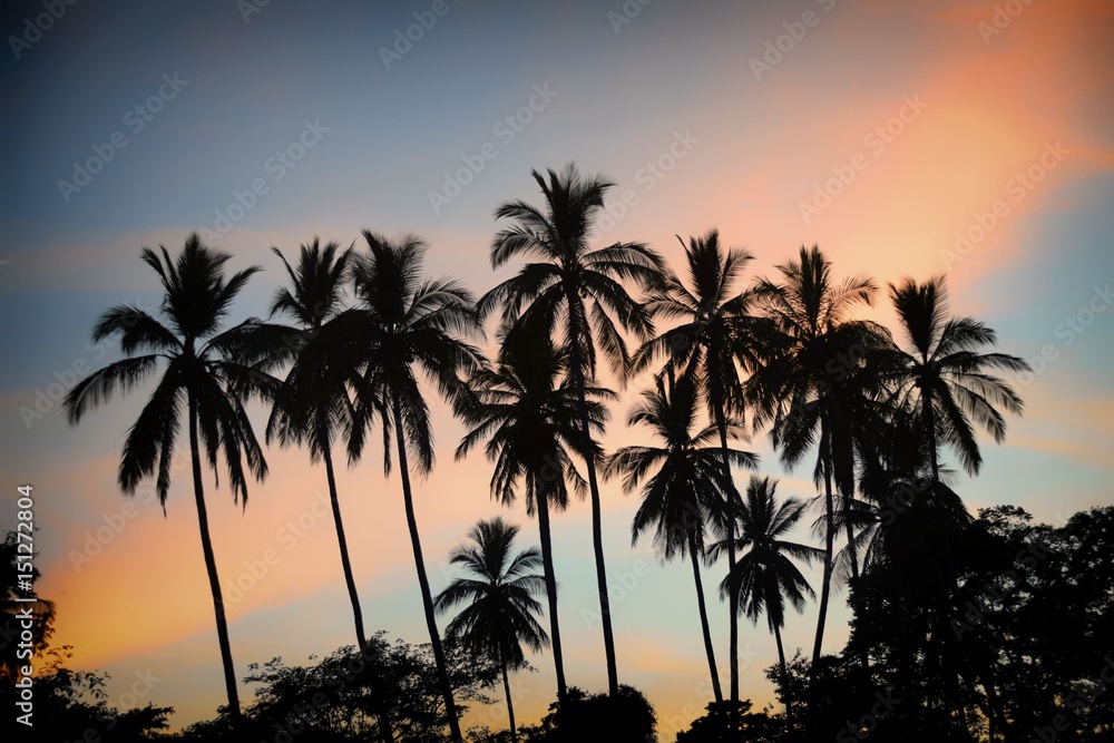 Tropical view of silhouette palm trees against sunset sky