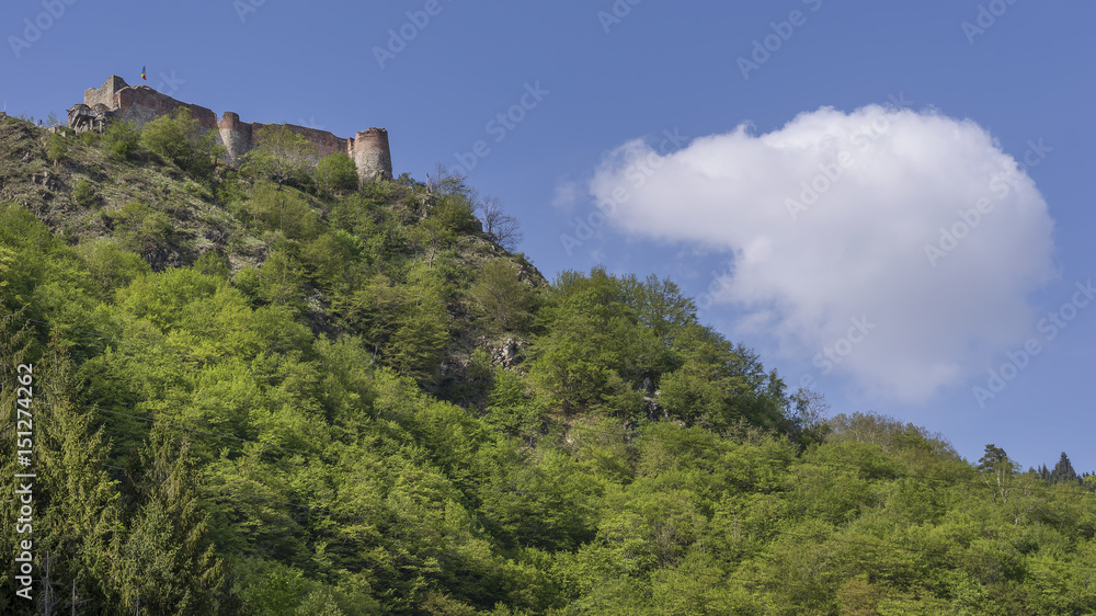 Bottom view of Poenari Castle in ruined castle in Romania which was a home of Vlad the Impaler, on a sunny day