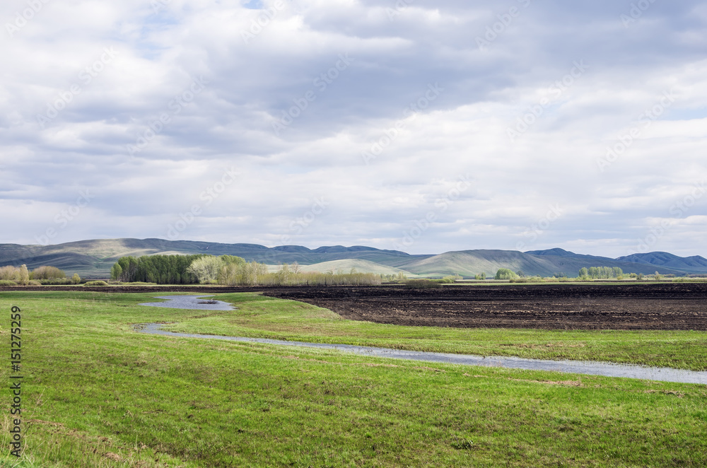 Spring field, the Ural Mountains on the horizon / Photographed in Russia, in the Orenburg region in Saraktashsky District