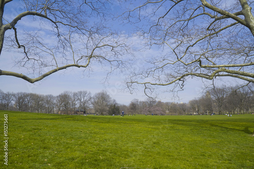 Meadows and fields at Central Park in New York- MANHATTAN / NEW YORK - APRIL 1, 2017