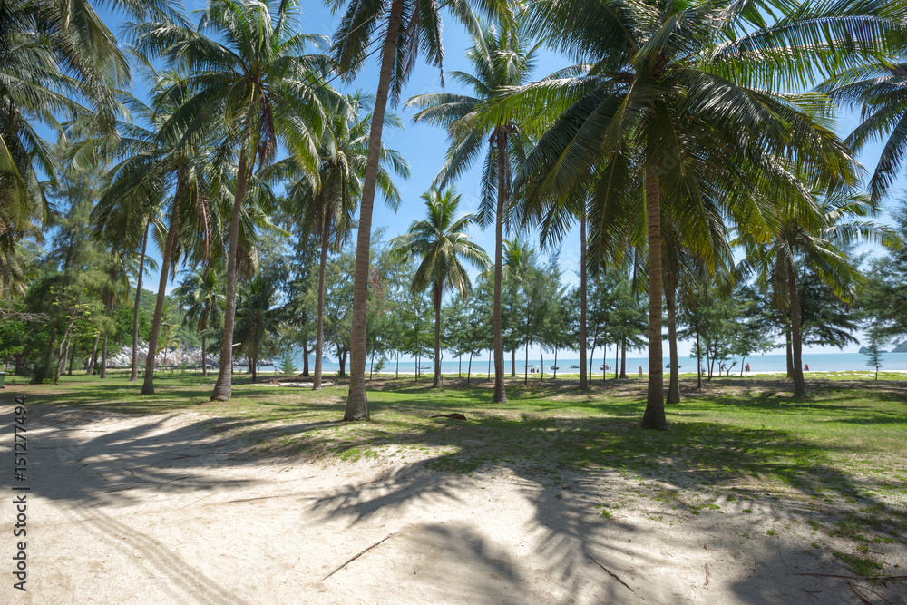 The coconut shade on the beach at Sam Roi Yot is a Marine National Park, Prachuap Khiri Khan province, Thailand. Two white sand beaches are in the park with many tourists to visit. The coconut shade on the beach at Sam Roi Yot is a Marine National Park, Prachuap Khiri Khan province, Thailand. Two white sand beaches are in the park with many tourists to visit.