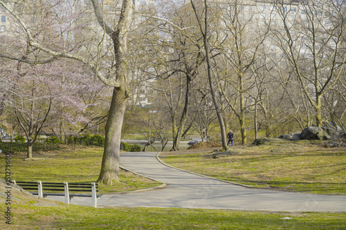 Beautiful Central Park New York - wonderful place to relax- MANHATTAN / NEW YORK - APRIL 1, 2017