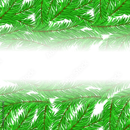 Fir Green Branches Pattern on White Background