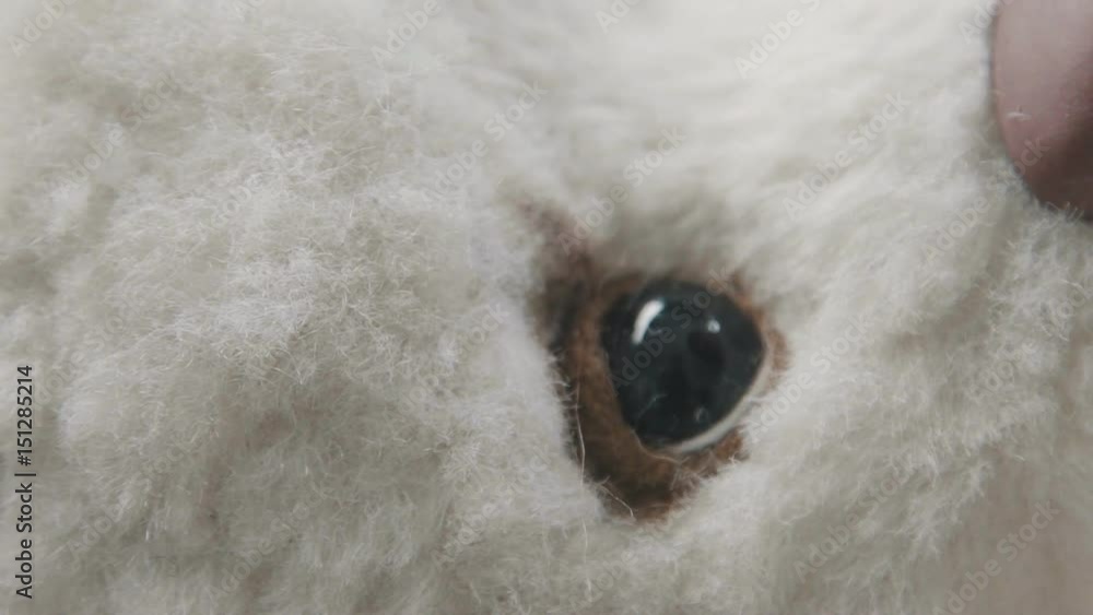 Process of creating a teddy bear: master draws a toy eyes. Thin brush for drawing: the eyes of a soft toy. Teddy bear in vintage style. Master paints eyes for a teddy bear in an old-fashioned style. Process of creating a teddy bear: master draws a toy eyes. Thin brush for drawing: the eyes of a soft toy. Teddy bear in vintage style. Master paints eyes for a teddy bear in an old-fashioned style.