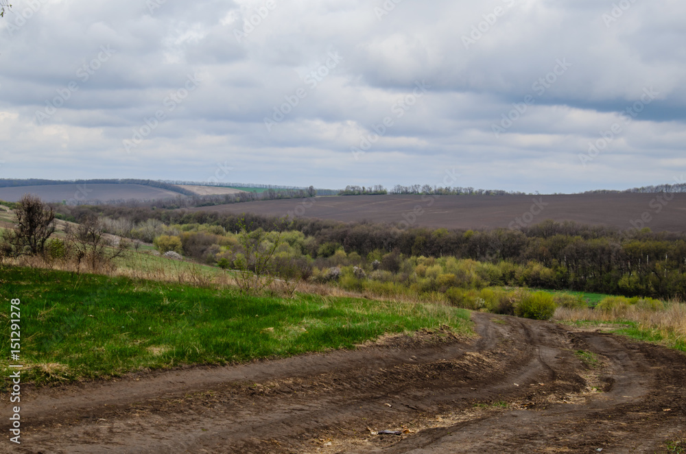 Naklejka premium Spring landscape with fields and trees