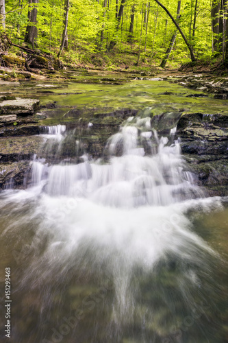 Fototapeta Naklejka Na Ścianę i Meble -  In the Woods - Fall Creek, Putnam County, Indiana after spring rains