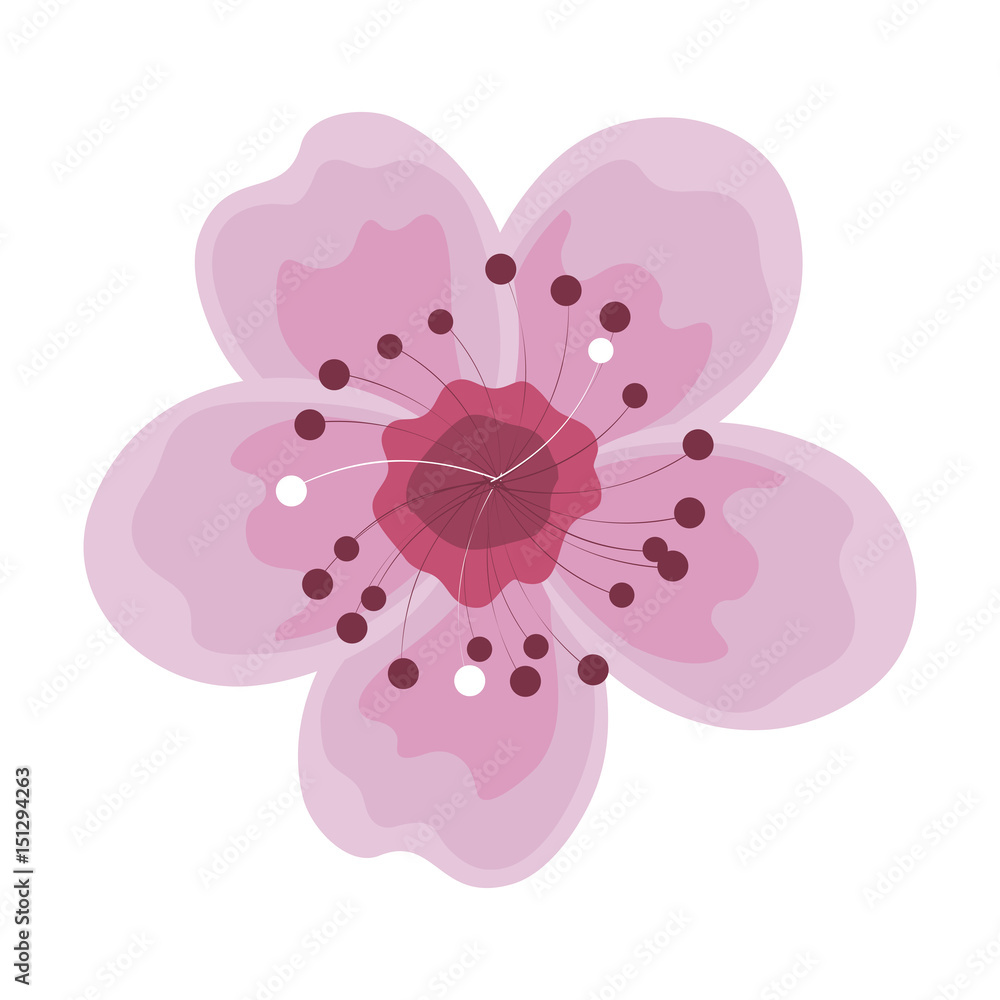 Fototapeta premium cute summer flower icon vector illustration design