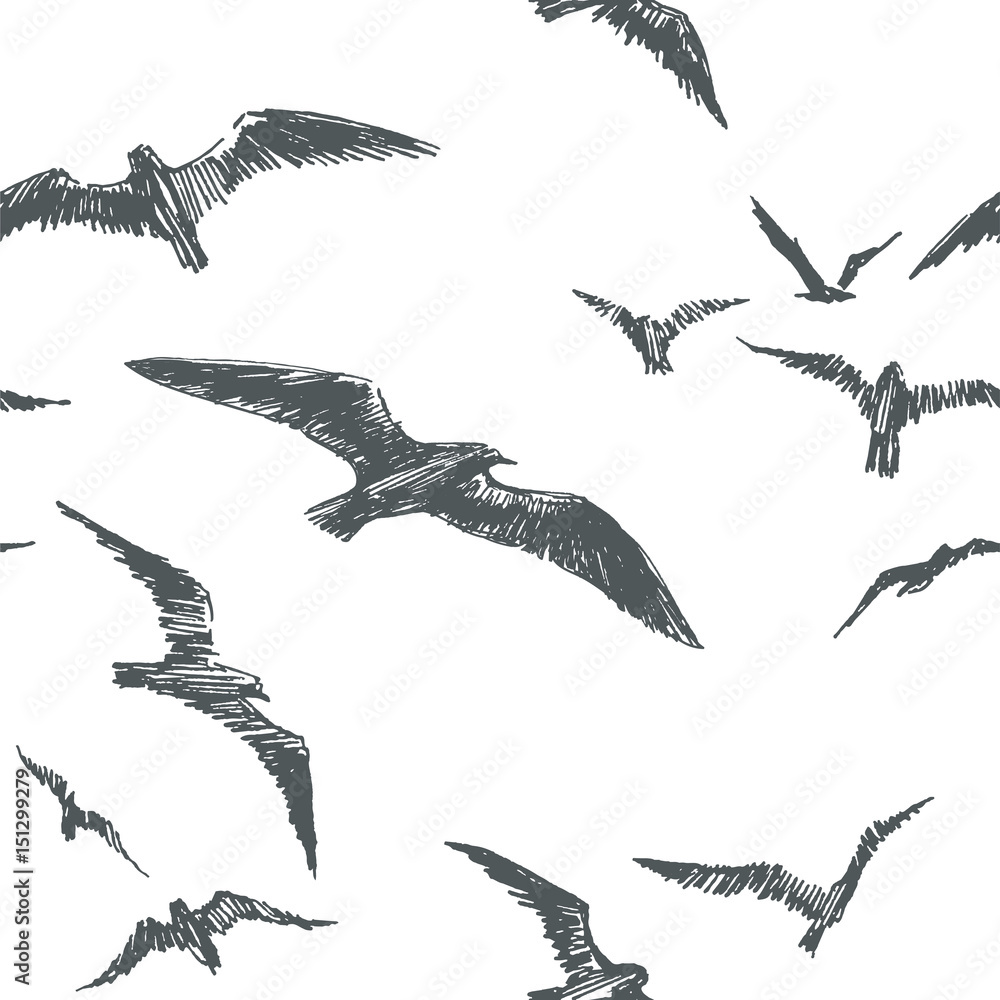 Obraz premium Vector seamless pattern with birds isolated on white background. Hand drawn texture with seagulls flying in sky