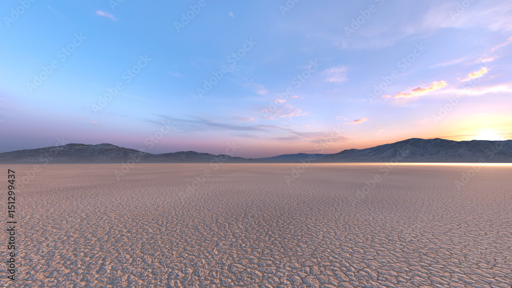 Fototapeta premium 砂漠