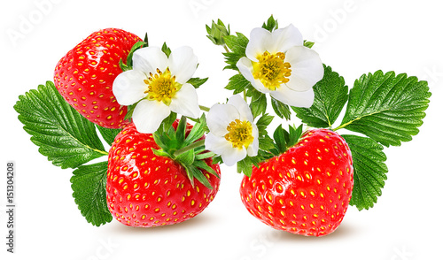 strawberry and strawberry  flower isolated on white