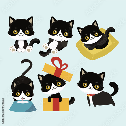 Cute cats character different pose funny animal domestic kitten vector illustration.