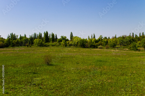 Spring landscape with green meadow and trees