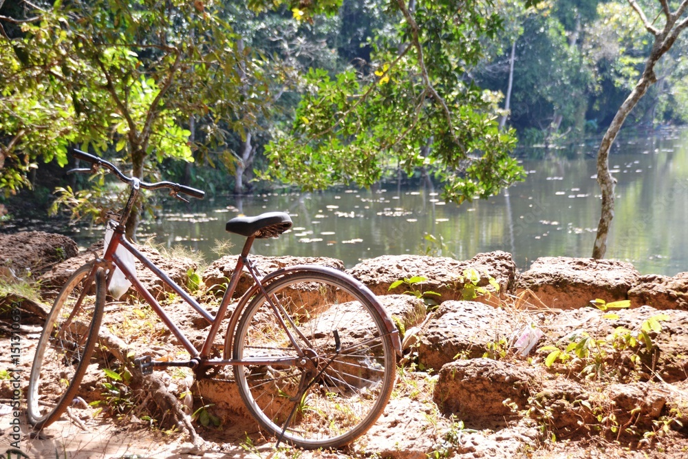 Ein altes Fahrrad im Wald