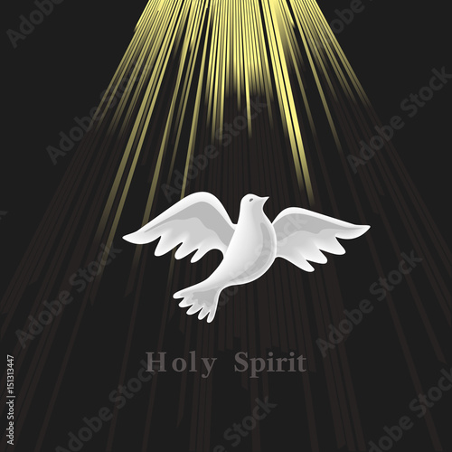 Holy Spirit icon. Hand drawn style. Christian holiday Pentecost Trinity Sunday concept. Church sacrament symbol. Pentecostal greeting. Biblical flying spiritual dove. Vector religious illustration